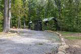 64 Crawfish - Photo 2