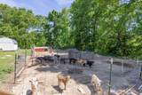 2976 Shrum Cemetery Rd - Photo 57