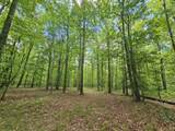 6 Beechwood Trail - Photo 2