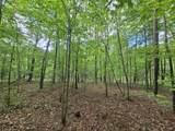 6 Beechwood Trail - Photo 13