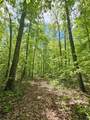 6 Beechwood Trail - Photo 4