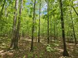 6 Beechwood Trail - Photo 9