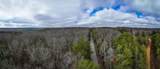 120 Old Highway 96 - Photo 9