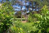 2440 Maple Grove Rd - Photo 45