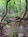 0 Whitetail Ridge Dr - Photo 2