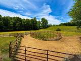 1126 Cedar Creek Rd - Photo 4