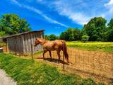 1126 Cedar Creek Rd - Photo 6