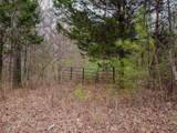 1397 County Road 609 - Photo 5