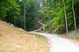 1 Budds Creek Road - Photo 25
