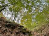 1 Budds Creek Road - Photo 44