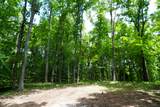 1 Budds Creek Road - Photo 45