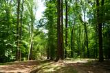 1 Budds Creek Road - Photo 52