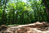 1 Budds Creek Road - Photo 54