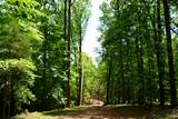 1 Budds Creek Road - Photo 58