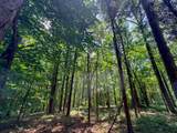 1 Budds Creek Road - Photo 65