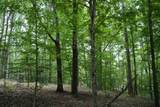 1 Budds Creek Road - Photo 69