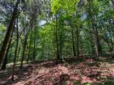 1 Budds Creek Road - Photo 71
