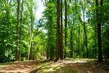 1 Budds Creek Road - Photo 73