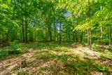 1530 Spring Hill Rd - Photo 5