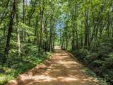 5940 Hassells Creek Ln - Photo 39