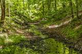8388 Cub Creek Rd - Photo 2
