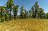 8388 Cub Creek Rd - Photo 11