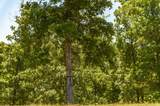 8388 Cub Creek Rd - Photo 14