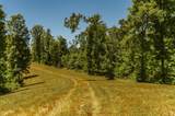8388 Cub Creek Rd - Photo 21