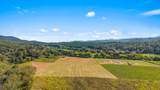 0 Tree Top Lane - Photo 1