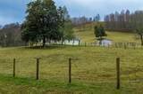 2319 Little Dry Creek Rd - Photo 4