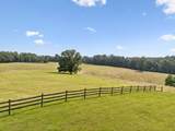 4255 Mcfall Rd - Photo 6