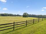 4255 Mcfall Rd - Photo 71