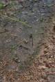 0 Bunches Chapel Road - Photo 3