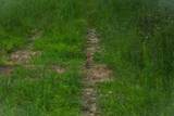 0 Bunches Chapel Road - Photo 6