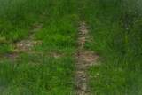 0 Bunches Chapel Road - Photo 58