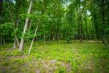 4562 Amethyst Road - Photo 7