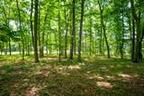 4562 Amethyst Road - Photo 8