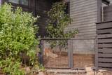 19 Lillypad Ln - Photo 28