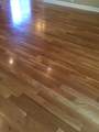 415 Palamino Lane - Photo 12