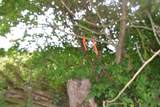 0 Dynamite Ln - Photo 15