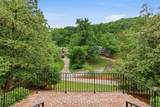 55 Annandale - Photo 4