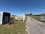615 Sullivan Bend Rd - Photo 31