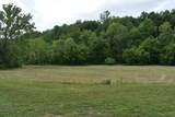 1331 Turkey Creek Loop - Photo 8