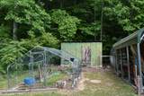 1331 Turkey Creek Loop - Photo 88