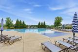 167 Dayflower Dr - Photo 42