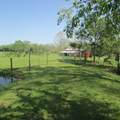 75 Snell Rd - Photo 33