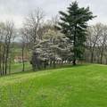 881 Mount Olivet Rd - Photo 67