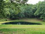 1089 Jim Clark Rd - Photo 33