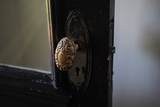 203 College St - Photo 34