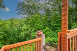 4484 Beech Nut Ct - Photo 6